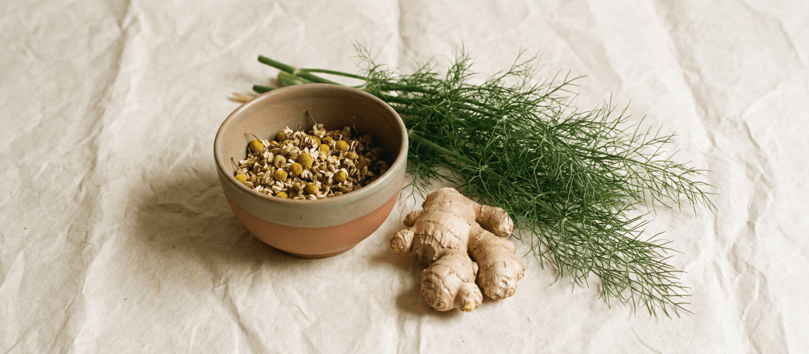 Fennel fronds, ginger root, and chamomile flowers arranged on cream paper