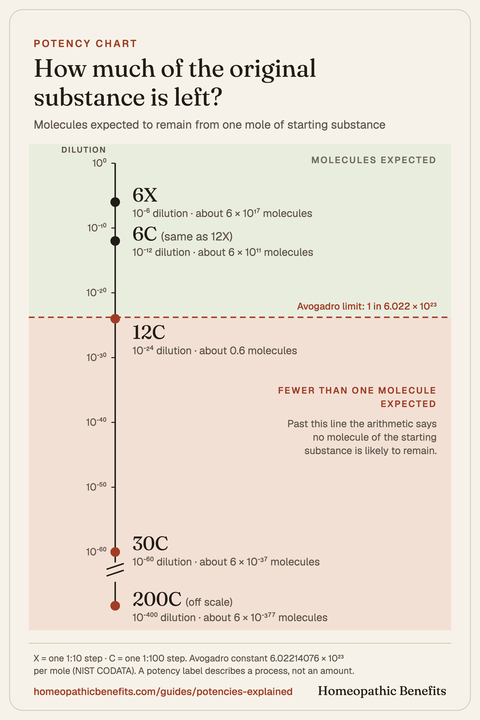Chart: molecules of the starting substance expected to remain at 6X, 6C, 12C, 30C and 200C potencies, with the Avogadro limit between 6C and 12C