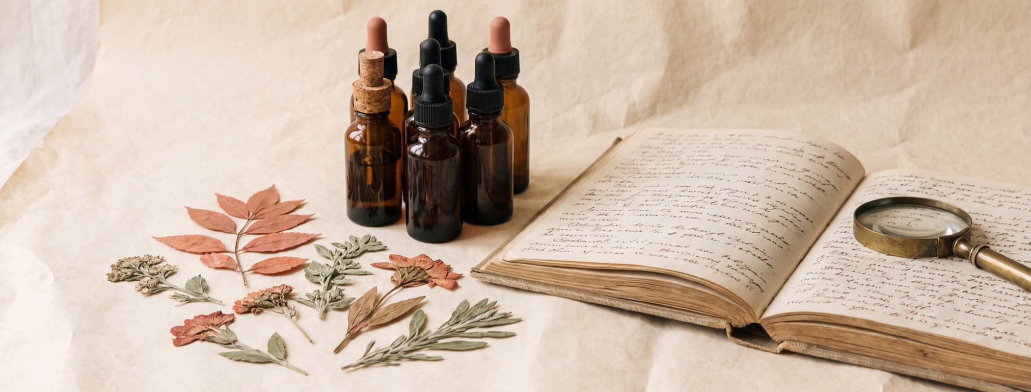 Apothecary still life with amber glass bottles, pressed botanicals, and an open casebook on cream paper