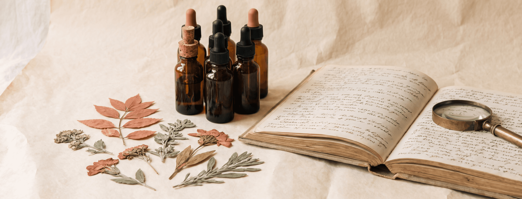 Apothecary still life with amber glass bottles, pressed botanicals, and an open casebook on cream paper