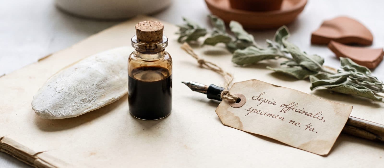Cuttlefish bone beside a bottle of sepia ink and a fountain pen